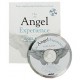 The Angel Experience.  Hazel Raven